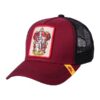 Boné Premium do Harry Potter Gryffindor