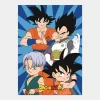 Manta Polar Dragon Ball de 100x140cm
